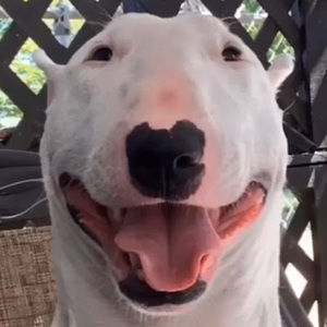 Meet your Posher, 20 years ago